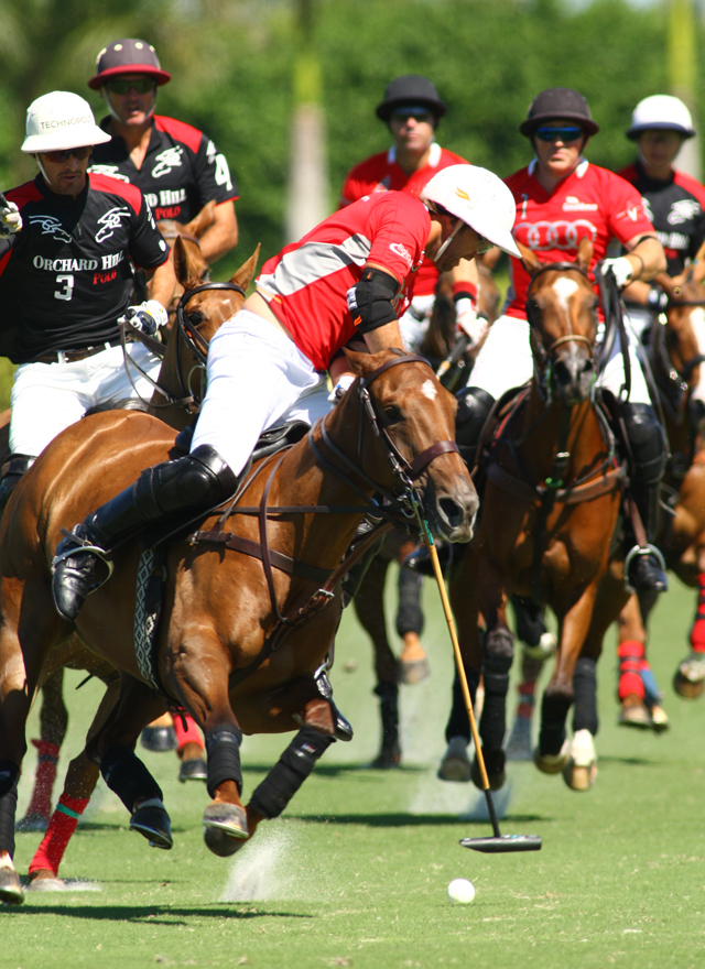 photos-gold-cup-audi-7-orchard-hill-5 6 polomagazine.jpg