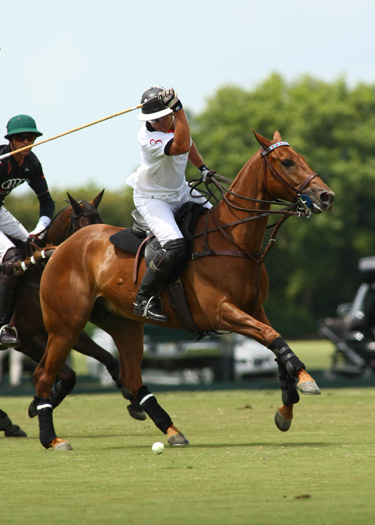 alex pacheco polo photos polo magazine us open polo florida audi zorzal 1
