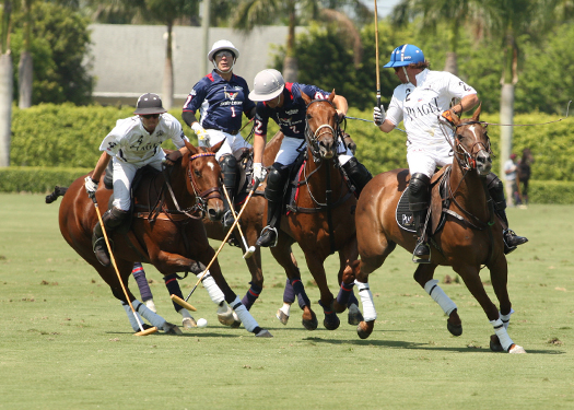 polo magazine alex pacheco us open polo championshiops ipc florida polo 1