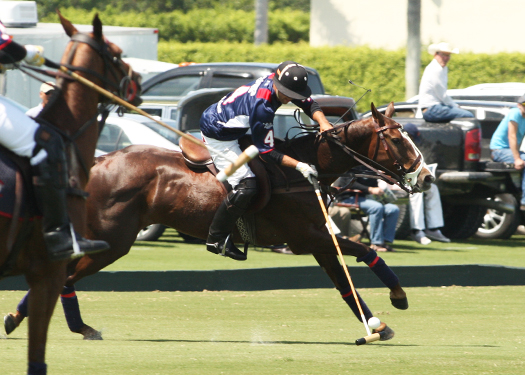 polo magazine alex pacheco us open polo championshiops ipc florida polo 3