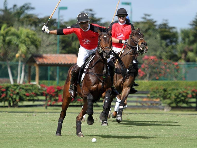 Inside Polo 14