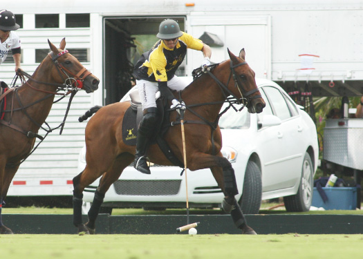 pacheco polo photos us open polo championship florida polo magazine faraway lechuza